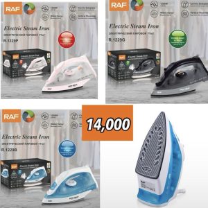 Electric steam iron